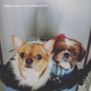 올망졸망 이미지