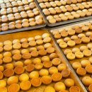 고대닥터정의원 이미지