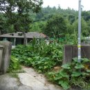 상남동229 이미지