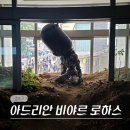 용인시 재활용센터 | 서울 종로 삼청동 전시회 아트선재센터 아드리안 비야르 로하스 전시 후기 (-내년 2월)