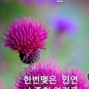 영창아파트 이미지