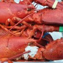 선부광장로 이미지