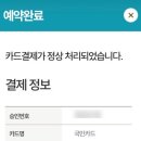 두꺼비주유소 | 실버클라우드 3등 객실 이용 후기 | 육지차 제주로 가져오기 | 완도 - 제주 차량 배선적