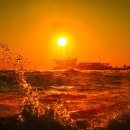 파도농장 이미지