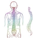 오케이재활의학과의원 이미지