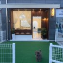 살롱드댕댕 이미지