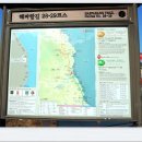 (해파랑길 29코스)＜호산버스터미널~용화레일바이크 18.3km＞ 걷기여행 이미지