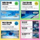 김해잠수 | 김해프리다이빙 미트로 프리다이빙 체험 교육 후기