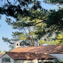 야자수하우스 이미지