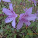 은대공원 이미지