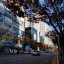 굿모닝위너스텔3 이미지
