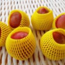 옥이농장 이미지