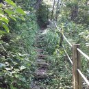 계룡산등산로(거제면) 이미지