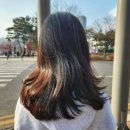 분당 서현 볼륨매직 잘하는 곳 | 준오헤어 서현역2호점(feat. 한결 디자이너)