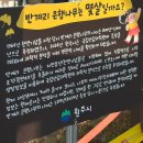 차일로 | [📍명소/🐶애견동반/강원도 원주] 반계리 은행나무 (25년 11월 2주차일요일 15시)