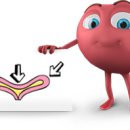 신앤박한의원 이미지