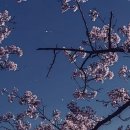 사임당로8길 16 이미지