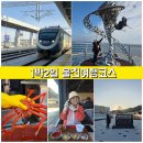 울진마트 | 경북 1박2일 울진여행 코스 겨울바다 등기산스카이워크 대게 맛집 2곳