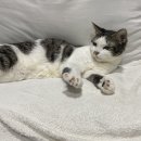 정원의료기 이미지