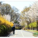 화원동산 Daum카페