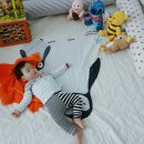 인형뽑는집 이미지