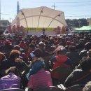 녹동전통시장 이미지