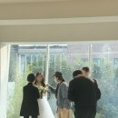 하이,포포 이미지