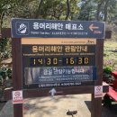 오라호스텔 | [제주도여행] 나홀로 제주도 뚜벅이 여행 버킷리스트 달성/혼여/서귀포 혼자여행 코스추천