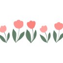 실버케어이야기상담사 네이버블로그