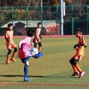 백암다목적운동장 이미지