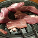 고기싸롱 티스토리
