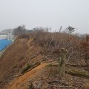 백양농장 이미지