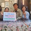 팜 아틀리에 이미지