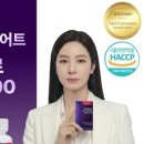 지엘 핏 네이버블로그