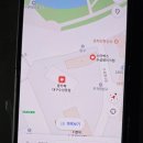 미즈컨테이너수성못점 (주)희선 | 대구 수성못 벚꽃 실시간 개화 상황 2026년 4월 3일 주차장 카페 뷰 명당