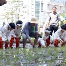 박정호농장(1농장) 이미지