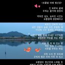 260501-02 260419-20 함평 영산강 이미지