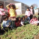 감천초교 이미지