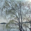 덕산대중탕 이미지