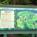 대청목장2 이미지