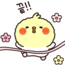 콕부동산공인중개사사무소 이미지