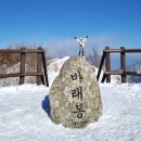 제203차 동문산행 지리산 바래봉 눈꽃산행 공지.(100대명산) 이미지