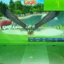 버디스크린골프 이미지