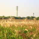 하늘공원 화장실 이미지