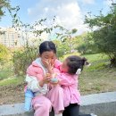 까치유치원 | 올림픽공원 숲파티포레 주말 숲체험 7살 후기 아이고고 예약 들꽃마루 주차 까치다리