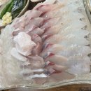 생생회포차 이미지