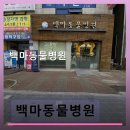 백마동물병원 - 고양시 일산동구 일산로 212 | 백마동물병원