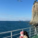 제주 보고정 투어 | 서귀포유람선 제주투어패스로 무료 이용 가능? 직접 타본 후기