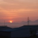 새벽축산