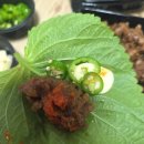 육식사관학교 - 광진구 광나루로36길 50 | 병점 혼밥 추천! 육식사관학교 1인 갈비 배달 후기